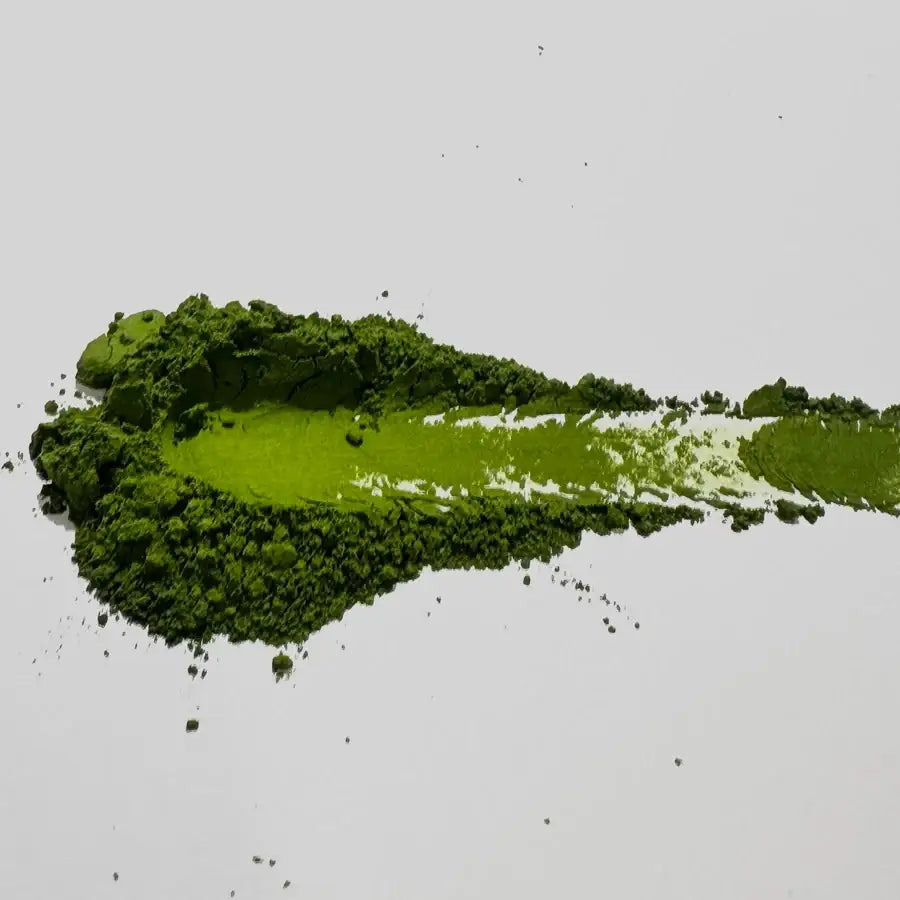 Sayama Matcha B (While Supplies Last)