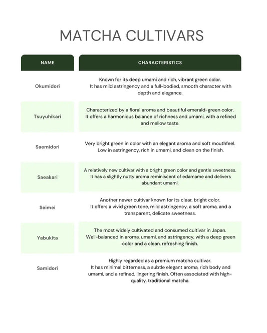 Comparison chart of Japanese matcha cultivars and their flavor characteristics.