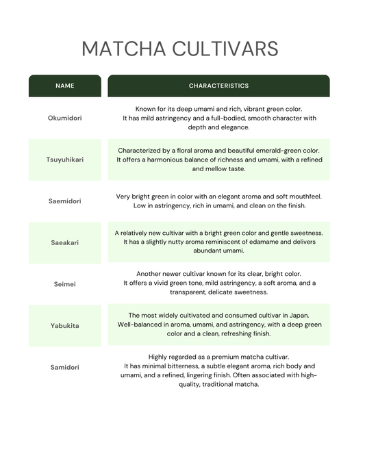 Matcha cultivars chart comparing Japanese green tea varieties by name, color, aroma, and taste profile