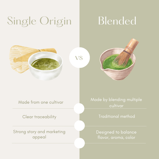 Single origin vs blended matcha tea comparison with whisk and bowl illustrations