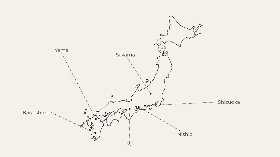 Exploring Japan’s Major Tea-Producing Regions