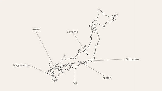 Exploring Japan’s Major Tea-Producing Regions