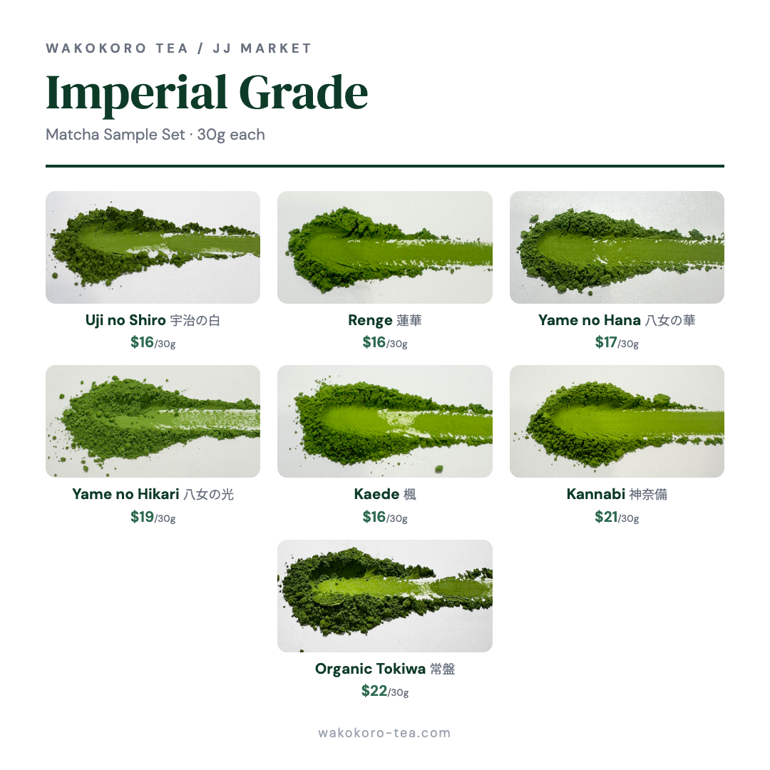 Understanding the Umami in Matcha – Imperial Ceremonial Grade Matcha Sample Set | Wakokoro Tea