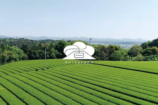 Lush green tea fields in Shizuoka, Japan, with rolling hills and clear skies — premium Japanese tea source.