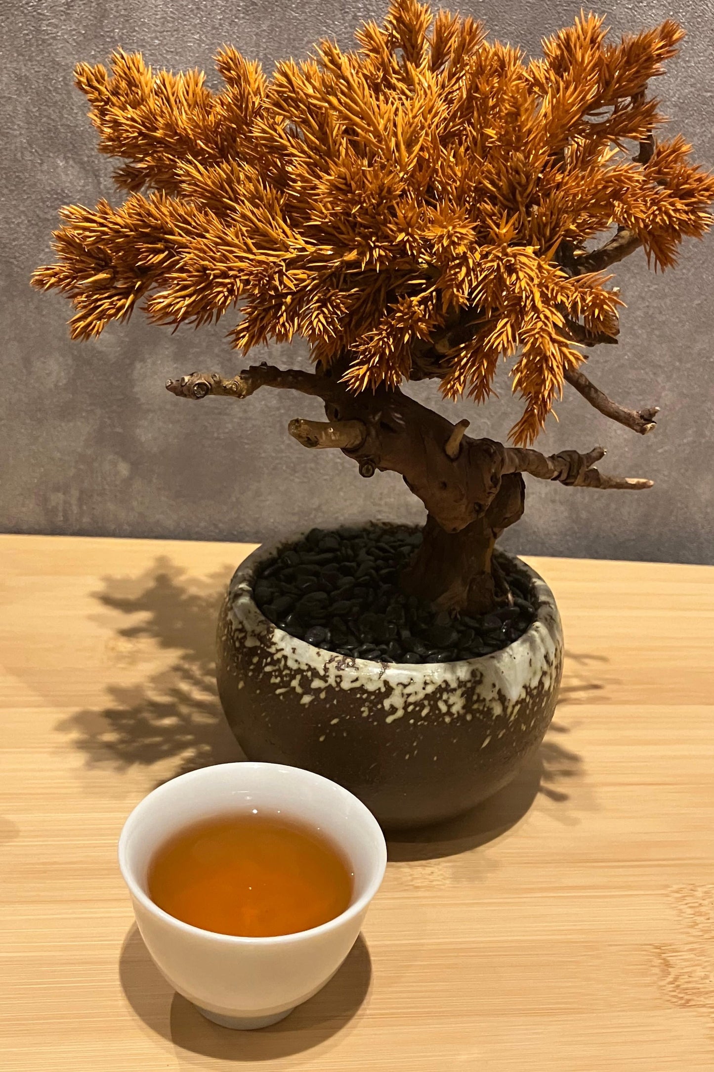 Bonsai tree in a pot on a wooden table with a cup of tea.