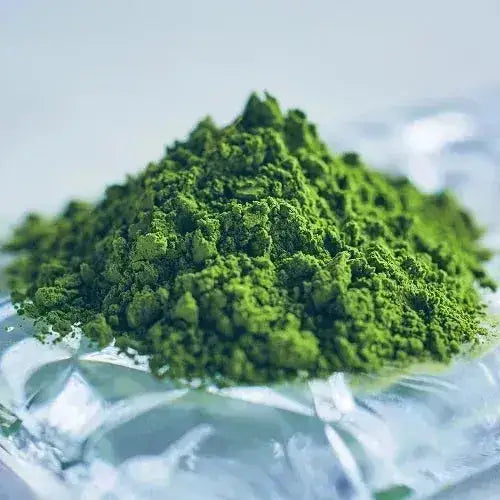 Matcha Powder Isuzu Marukyu koyamaen 100g - JJ Market